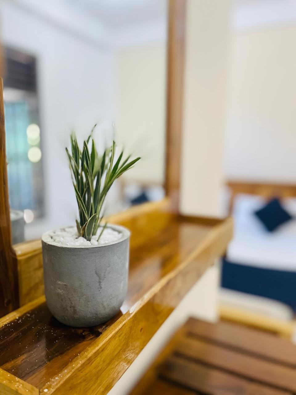 Natraj Guest House تريكونامالاي المظهر الخارجي الصورة